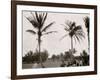 No. 1 Tee, Golf Links, Palm Beach, Fla.-null-Framed Photo