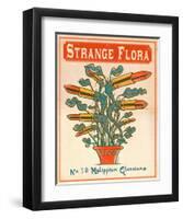 No.10 Mylippium Glossioma-Phil Garner-Framed Art Print