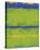 No. 1967 Olive Green Blue-Carmine Thorner-Stretched Canvas