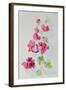 No.2 Bougainvillea Red-Izabella Godlewska de Aranda-Framed Giclee Print