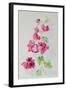 No.2 Bougainvillea Red-Izabella Godlewska de Aranda-Framed Giclee Print