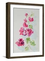 No.2 Bougainvillea Red-Izabella Godlewska de Aranda-Framed Giclee Print