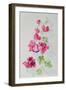 No.2 Bougainvillea Red-Izabella Godlewska de Aranda-Framed Giclee Print