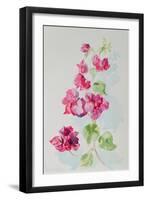 No.2 Bougainvillea Red-Izabella Godlewska de Aranda-Framed Giclee Print