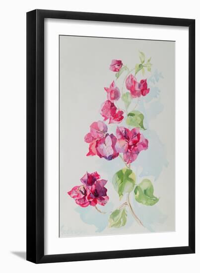 No.2 Bougainvillea Red-Izabella Godlewska de Aranda-Framed Giclee Print