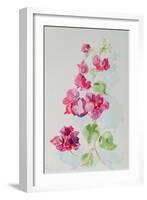 No.2 Bougainvillea Red-Izabella Godlewska de Aranda-Framed Giclee Print