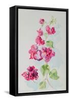 No.2 Bougainvillea Red-Izabella Godlewska de Aranda-Framed Stretched Canvas