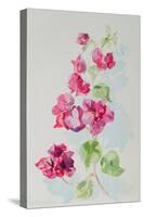 No.2 Bougainvillea Red-Izabella Godlewska de Aranda-Stretched Canvas