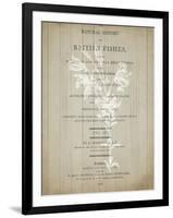 No 2 Floral Page-Kimberly Allen-Framed Art Print