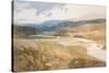 No.2303 Dolgelly, North Wales, 1804-05-John Sell Cotman-Stretched Canvas