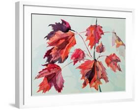 No.24 Autumn Maple Leaves-Izabella Godlewska de Aranda-Framed Giclee Print