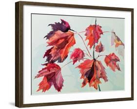 No.24 Autumn Maple Leaves-Izabella Godlewska de Aranda-Framed Giclee Print