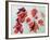 No.24 Autumn Maple Leaves-Izabella Godlewska de Aranda-Framed Giclee Print