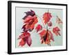 No.24 Autumn Maple Leaves-Izabella Godlewska de Aranda-Framed Giclee Print