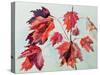 No.24 Autumn Maple Leaves-Izabella Godlewska de Aranda-Stretched Canvas