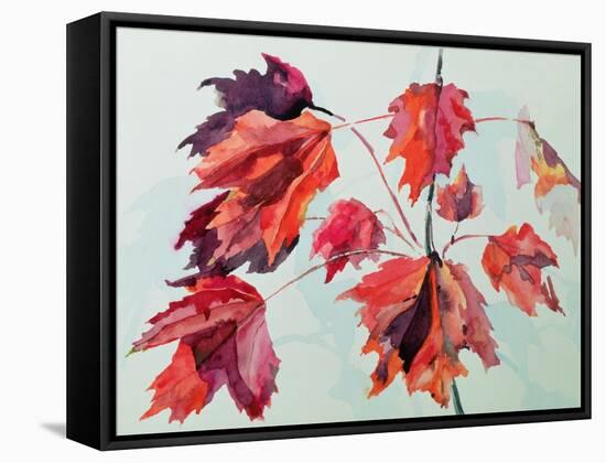 No.24 Autumn Maple Leaves-Izabella Godlewska de Aranda-Framed Stretched Canvas