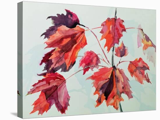 No.24 Autumn Maple Leaves-Izabella Godlewska de Aranda-Stretched Canvas