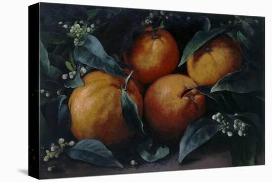 No 399, Oranges, 2013-Kira Weber-Stretched Canvas