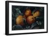 No 399, Oranges, 2013-Kira Weber-Framed Giclee Print