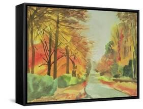 No.47 Autumn, Beaufays Road, Liege, Belgium-Izabella Godlewska de Aranda-Framed Stretched Canvas