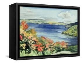 No.56 Lake Kaministikwia, Ontario, Canada-Izabella Godlewska de Aranda-Framed Stretched Canvas