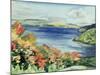 No.56 Lake Kaministikwia, Ontario, Canada-Izabella Godlewska de Aranda-Mounted Giclee Print