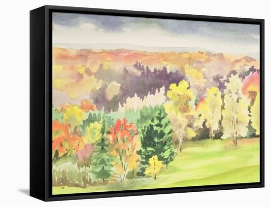 No.64 Autumn, Beaufays, Liege, Belgium-Izabella Godlewska de Aranda-Framed Stretched Canvas