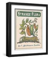 No.7 Stucktoearium Fonefolia-Phil Garner-Framed Art Print
