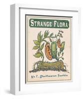 No.7 Stucktoearium Fonefolia-Phil Garner-Framed Art Print