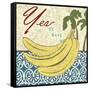 No Bananas-Chariklia Zarris-Framed Stretched Canvas