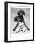 Black Frame
