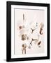 No Boundaries I-Ily Szilagyi-Framed Giclee Print