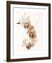 No Boundaries II-Ily Szilagyi-Framed Giclee Print