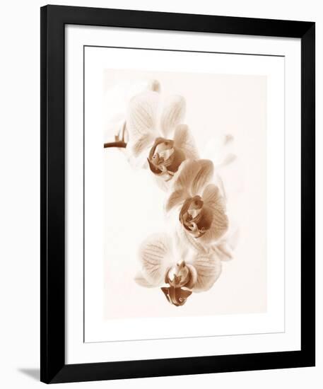 No Boundaries II-Ily Szilagyi-Framed Giclee Print