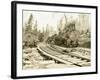 No. Camp, C.H. Clemons Logging Co, Melbourne, WA, 1918-Clark Kinsey-Framed Giclee Print