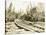 No. Camp, C.H. Clemons Logging Co, Melbourne, WA, 1918-Clark Kinsey-Stretched Canvas