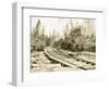 No. Camp, C.H. Clemons Logging Co, Melbourne, WA, 1918-Clark Kinsey-Framed Giclee Print