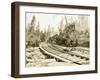 No. Camp, C.H. Clemons Logging Co, Melbourne, WA, 1918-Clark Kinsey-Framed Giclee Print