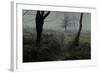 No Direction-David Baker-Framed Photographic Print