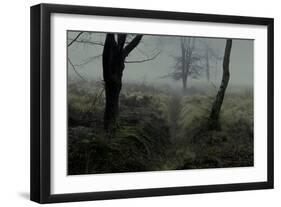 No Direction-David Baker-Framed Photographic Print