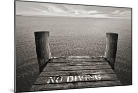 No Diving-SD Smart-Mounted Photographic Print