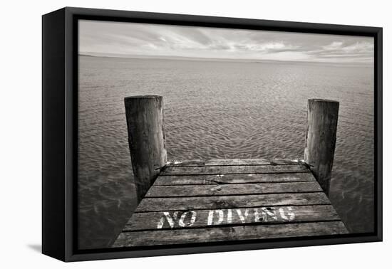 No Diving-SD Smart-Framed Stretched Canvas