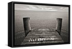 No Diving-SD Smart-Framed Stretched Canvas