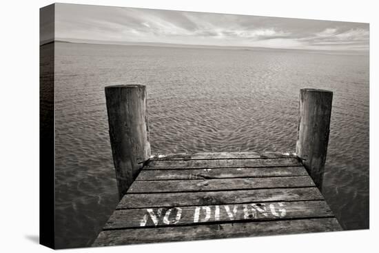 No Diving-SD Smart-Stretched Canvas