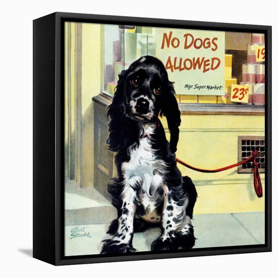 "No Dogs Allowed," August 24, 1946-Albert Staehle-Framed Stretched Canvas