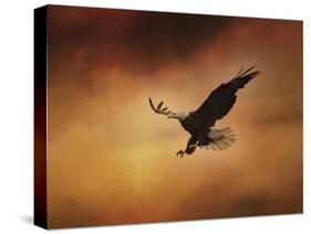 No Fear-Jai Johnson-Stretched Canvas