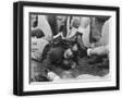 Black Frame