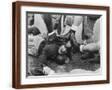 Brown Frame