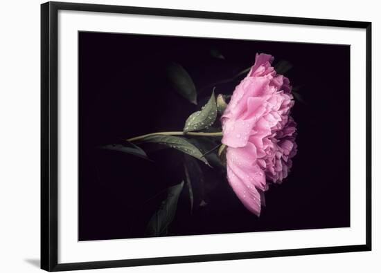 No Hesitation-Philippe Sainte-Laudy-Framed Photographic Print