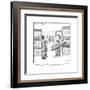 "No, I'm sorry. You'll need a separate remote for your DVD." - New Yorker Cartoon-Harry Bliss-Framed Premium Giclee Print